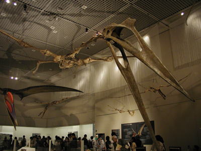 史上最大の飛行生物ケツァルコアトルス