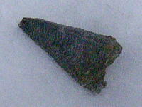 コニュラリアの化石の写真