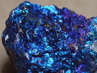 ピーコックオア