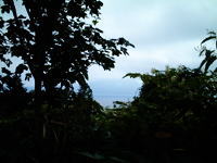 林道から望む北海道の湖の写真